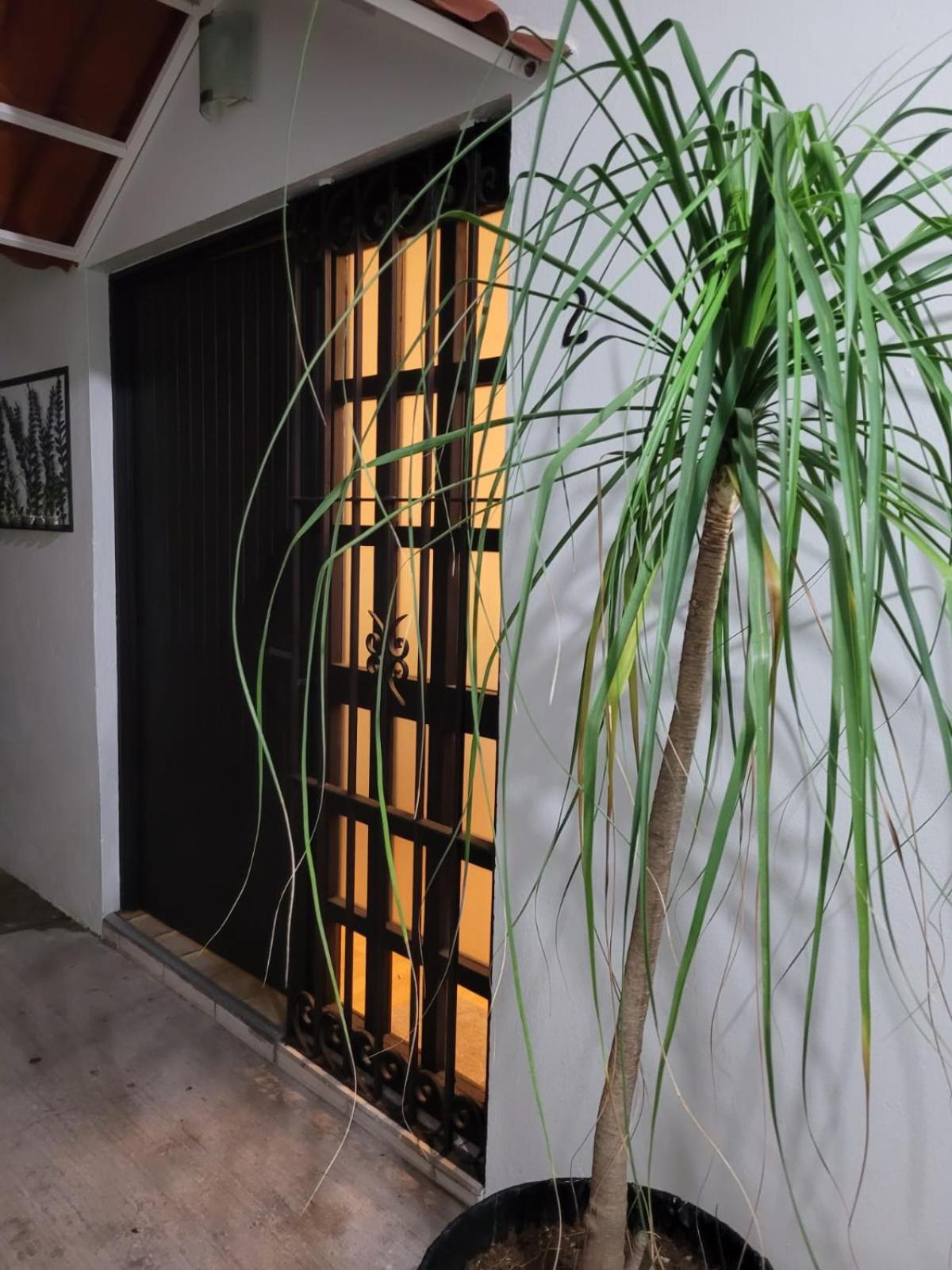 شقة Casa B & L Centrico Departamento Oaxaca المظهر الخارجي الصورة